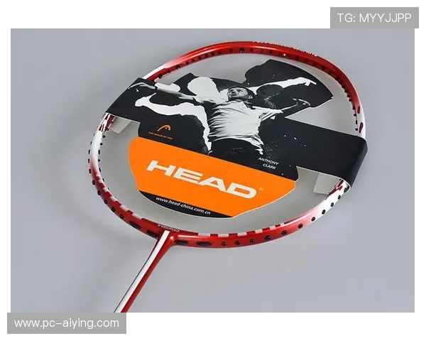 海德体育网站app优惠活动与会员权益介绍,享受更多专属体育福利